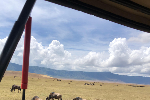 LOCATION : Safari de 3 jours dans les parcs nationaux de Mikumi et de Ruaha