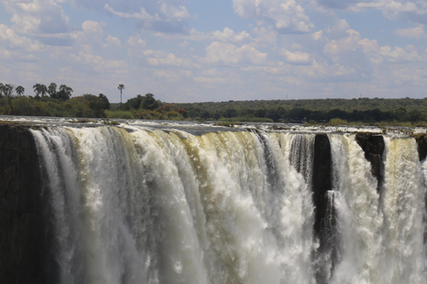 Visite privée des chutes Victoria avec déjeuner et vol en hélicoptère