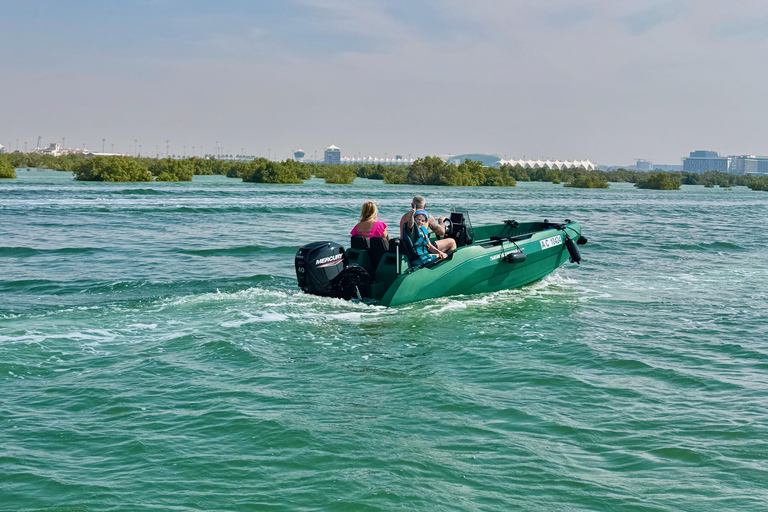 Tour de áudio pela Ilha Yas, condução própria guiada em grupo, fácil e divertidoSeaRay 25 FT • Com o capitão Bayside • Perfeito para até 6 pessoas