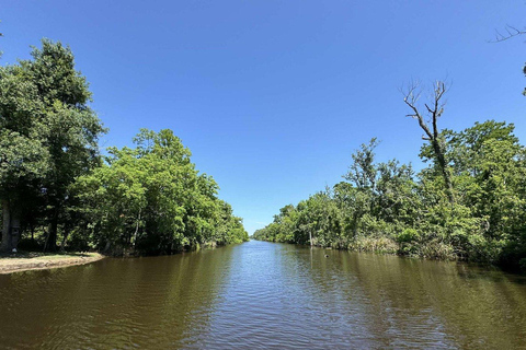 New Orleans: Oak Alley Plantation -N- Swamp Tour Full Day New Orleans Full Day Plantation -N- Swamp Tour