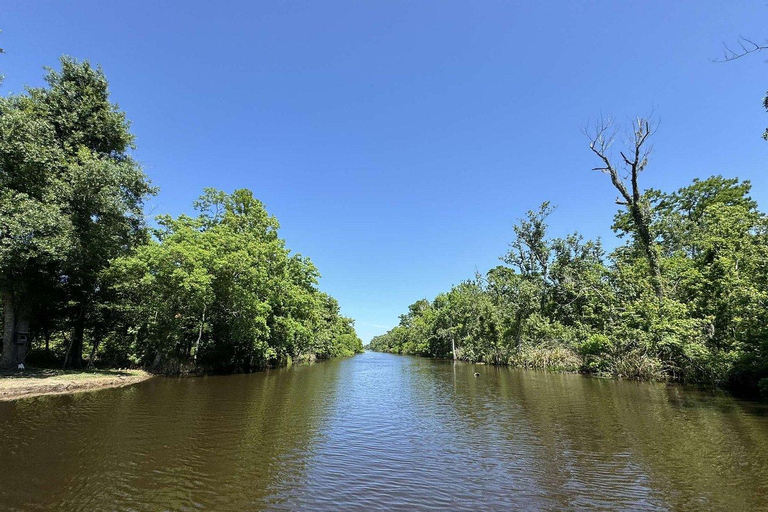 New Orleans: Oak Alley Plantation -N- Swamp Tour Full Day New Orleans Full Day Plantation -N- Swamp Tour