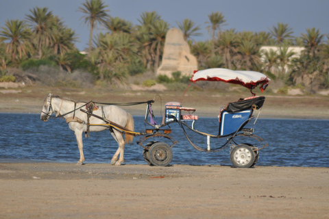 Blue Lagune 2H Carriage Ride in Djerba Traditional Horse-Drawn Carriage Ride in Djerba