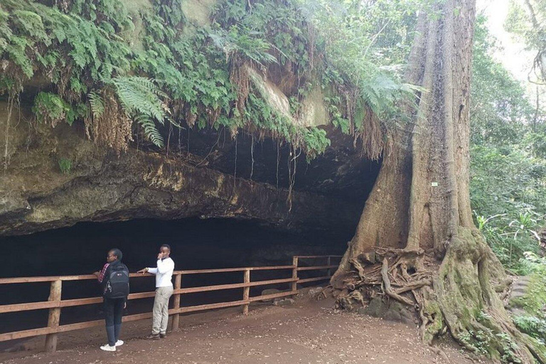 Nairobi: Karura Forest Walk & Waterfall Experience Tour