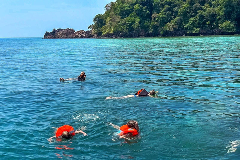 Ko Lanta: Excursão exclusiva de mergulho com snorkel em cauda longa em 4 ilhas com almoçoPasseio compartilhado