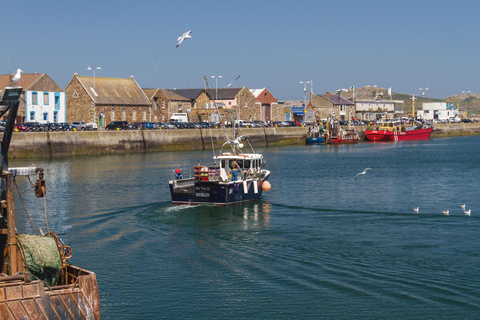 DUBLIN: Malahide castle and Howth MULTILINGUAL full day tour