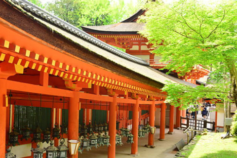 Nara: Must-see attractions tour with English-Speaking Guide