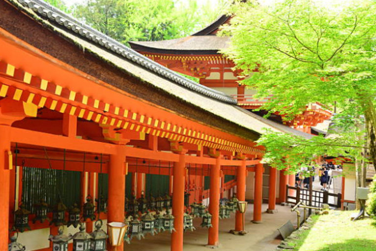 Nara: Must-see attractions tour with English-Speaking Guide