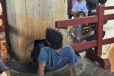 Nara: Private Custom Walking Tour with Local Guide 8-Hour