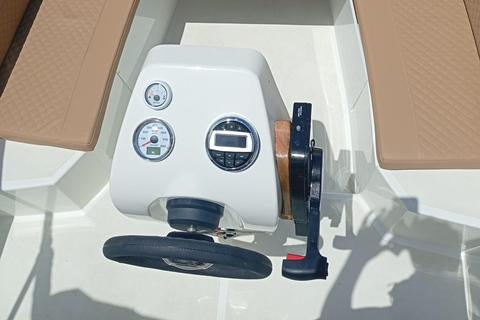 ماربيا: تأجير قوارب بدون ترخيص لمشاهدة الدلافينإيجار لمدة 30 دقيقة