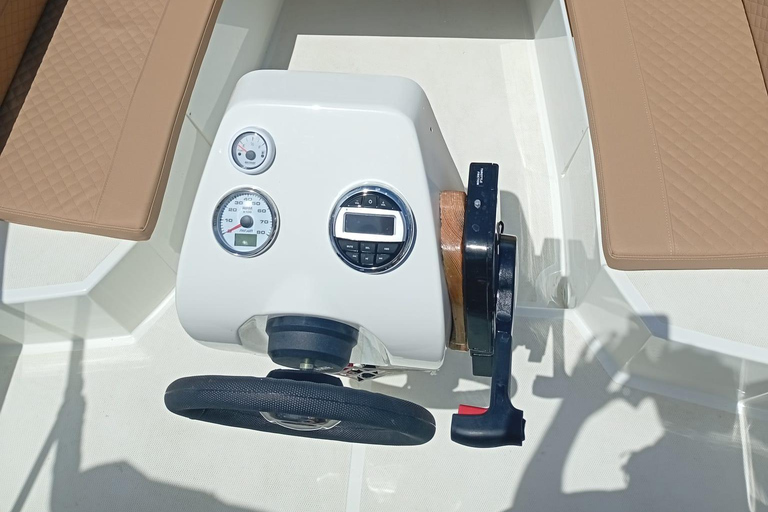 ماربيا: تأجير قوارب بدون ترخيص لمشاهدة الدلافينإيجار لمدة 30 دقيقة