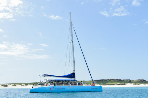 Boa Vista Catamaran Tour: All Inclusive Bay CruiseAdults Only - Boa Vista Catamaran Tour: All Inclusive