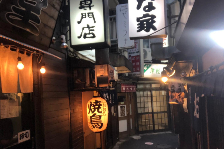Yokohama Half Day Tour with a Local Expert Guide Yokohama: Half-Day Tour