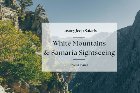 Safaris en Jeep de luxe : Montagnes blanches et visite de la Samarie