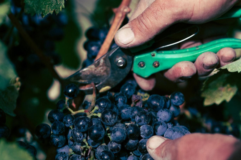Yerevan: Ashtarak Old Town Tour & Wine Tasting