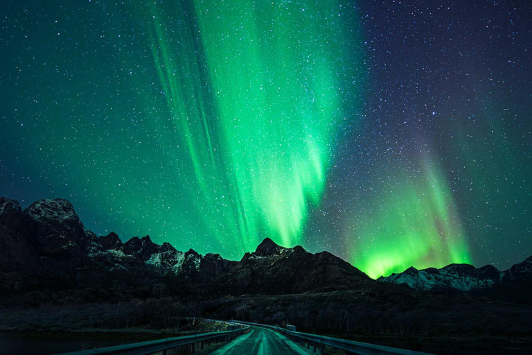 Svolvær: Ultieme jacht op Aurora