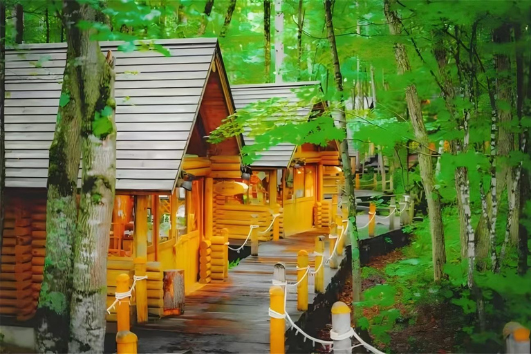 One-Day Tour to Asahiyama Zoo and Biei Blue Pond in Hokkaido