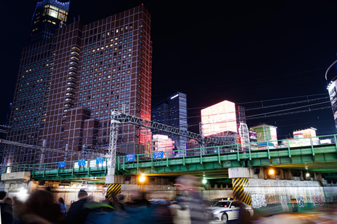 Tokyo: Tour guidato a piedi del distretto di Shinjuku di notte