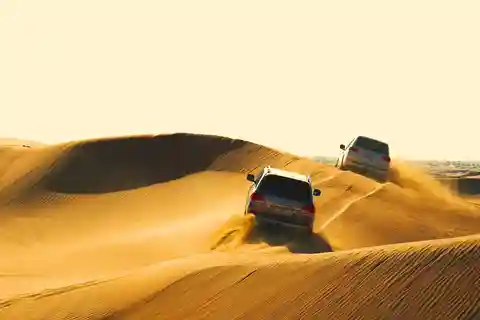 Doha: Wüstensafari, Kamel, Sandboarding, Binnenseetour