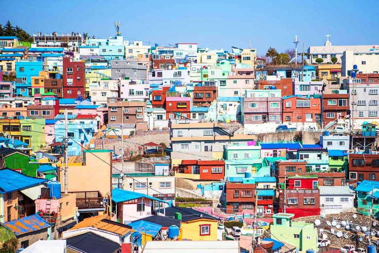 Busan: Customized Private Car Tour City Sights&Local Gems Pick-up anywhere in Busan