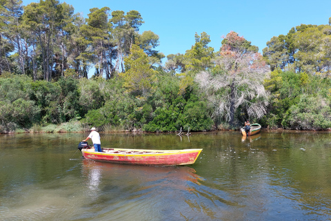 From Durres: Divjaka &amp; Karavasta Lagoon Boat Tour