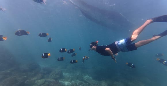 Puerto Vallarta: Snorkel Sightseeing Tour at Hidden Beaches