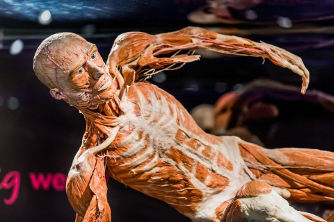 Body Worlds Amsterdam: ticket voor The Happiness Project