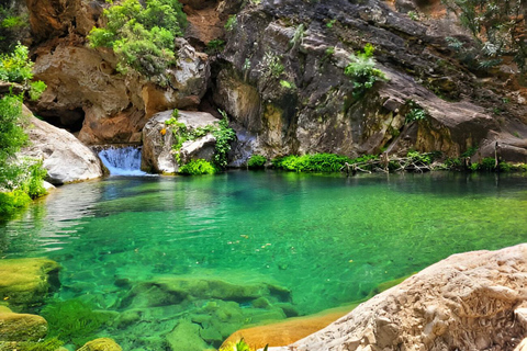 From Agadir/Taghazout: Paradise Valley &amp; Atlas Mountain TourTour with lunch