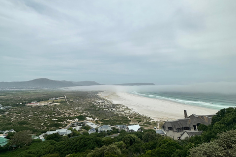 From Cape Town: Cape of Good Hope and Penguins Shared Tour