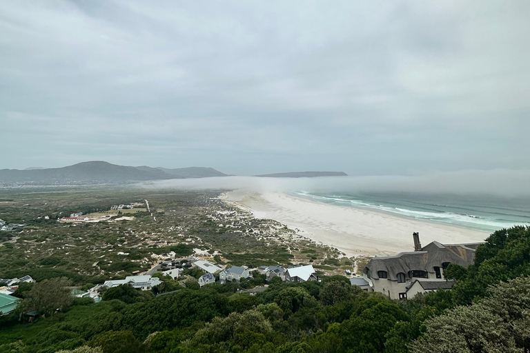 From Cape Town: Cape of Good Hope and Penguins Shared Tour