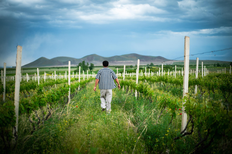 Yerevan: Wine Tasting and Vineyard Lunch at Voskeni Winery