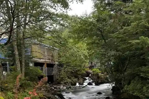 Ketchikan Photo Safari