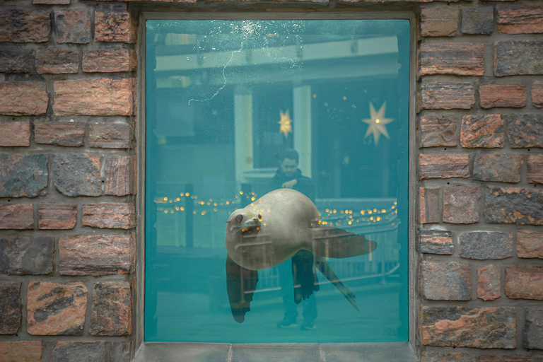 Bergen: toegangsbewijs voor het aquarium en rondleidingEntry Ticket and fish guiding with Nordic fish species