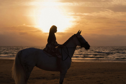 Saint John: Private Sunset Horseback Riding Experience