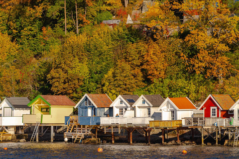 Oslo: Guided Oslofjord Cruise by Silent Electric BoatOslo: Guided Oslofjord Cruise by Electric Boat