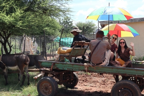 Gaborone: całodniowa wycieczka kulturalna i obrazy naskalne Manyana