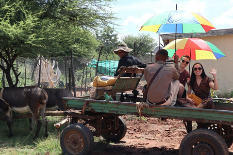 Gaborone: tour cultural de día completo y pinturas rupestres de Manyana