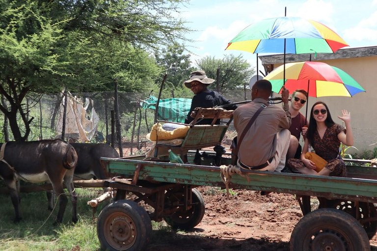 Gaborone: tour cultural de día completo y pinturas rupestres de Manyana