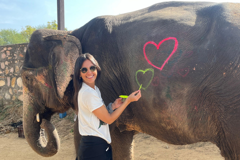 Elefun, il miglior santuario degli elefanti a Jaipur