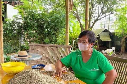 TAGAYTAY :Coffee Experience Amadeo Farm Tour & Tasting