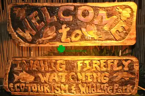 Puerto Princesa Firefly Watching (shared tour)