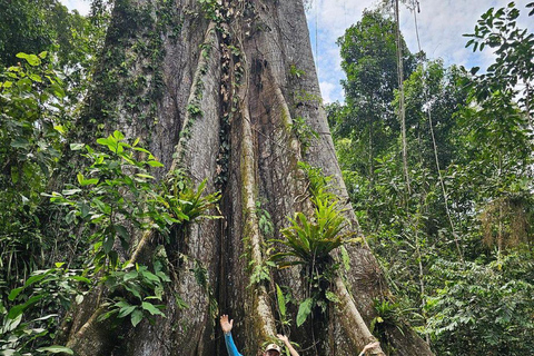 Iquitos: 5-Day Amazon Camp, Zipline & Jungle Tour Iquitos: 5-Day Amazon Camp, Zipline & Jungle Tour for 1