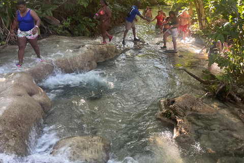 Montego Bay: Blue Hole, Secret Falls, and Dunn's River Tour