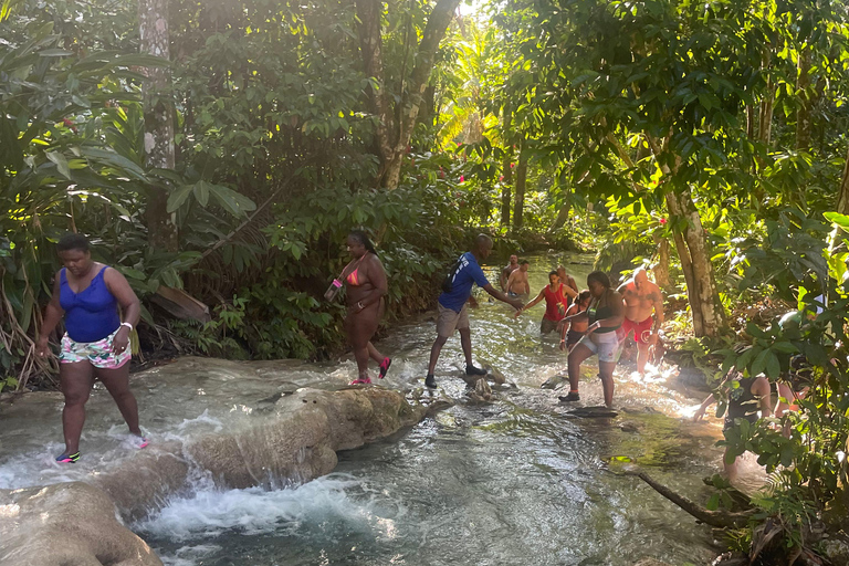 Montego Bay: Blue Hole, Secret Falls, and Dunn's River Tour