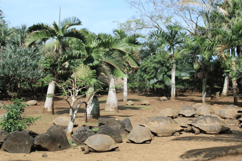 Mauritius: Southern Mauritius Private Tour with Tortoises