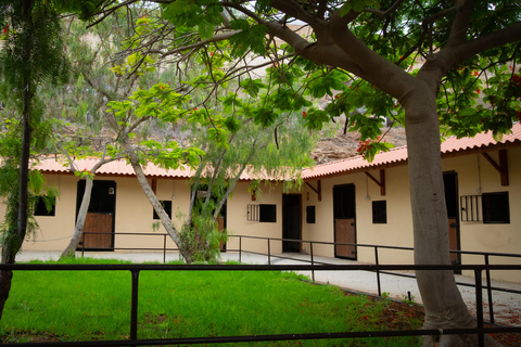 1-hour horseback ride in the south of Tenerife