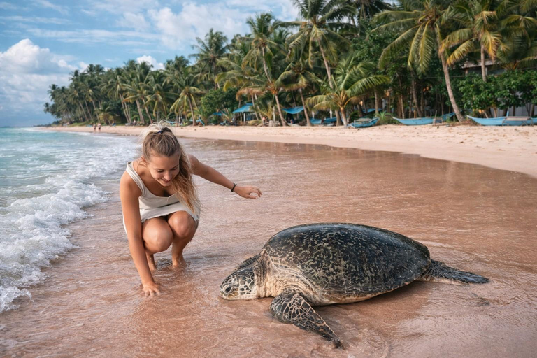 Colombo: Cinnamon Trails & Turtle Tales Balapitiya, Kosgoda