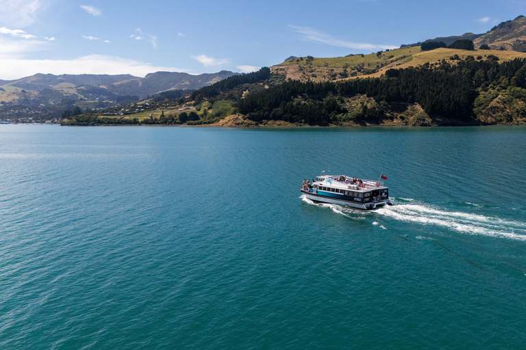From Christchurch: Akaroa Private Day Trip & Nature Cruise