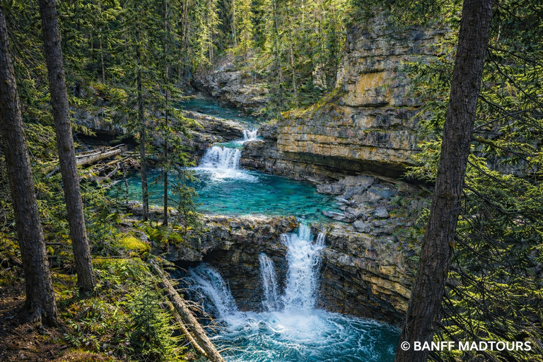 Banff: Lake Louise, Moraine Lake, Johnston, Banff Photo Tour