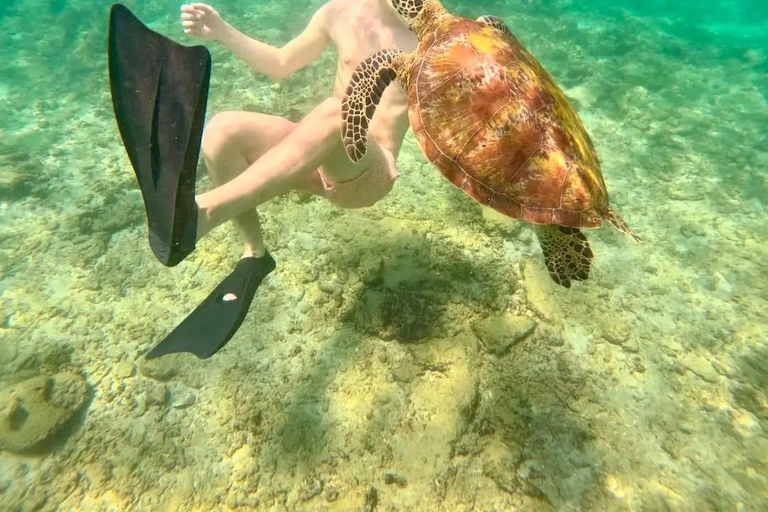 SH Snorkeling Club Mirissa