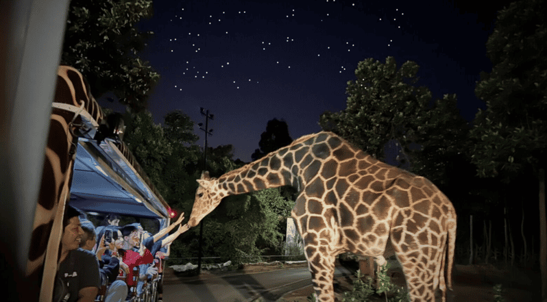Chiang Mai Night Safari: Flexible Pickup, Ticket & Transfers